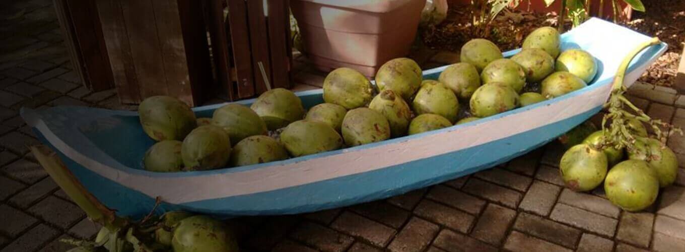 Canoa de Coco <br>Verde Gelado -  Promoção de eventos